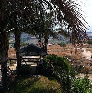 7249_Exterior_Garden_2