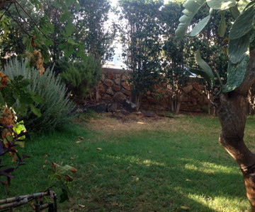 IMG-20150811-WA0015_360