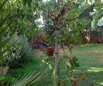 IMG-20150811-WA0020_360
