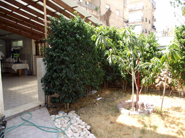 DSCF3682_360