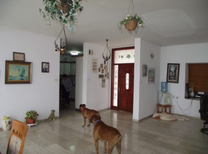 DSCF2924_640