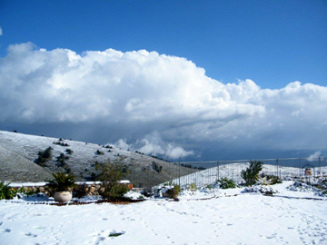 DSCF1754_360
