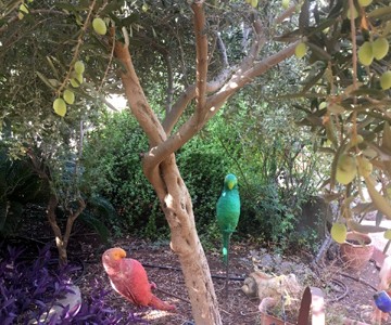 IMG-20171003-WA0013_360