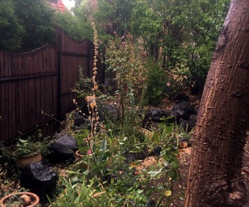 IMG-20171016-WA0035_360