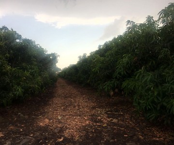 IMG-20171016-WA0043_360