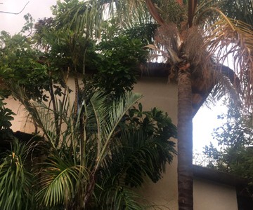 IMG-20171016-WA0044_360