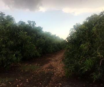 IMG-20171016-WA0046_360