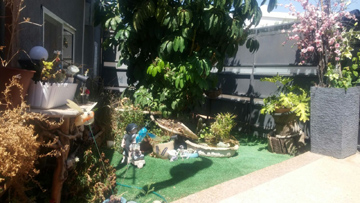 IMG-20180709-WA0038_360